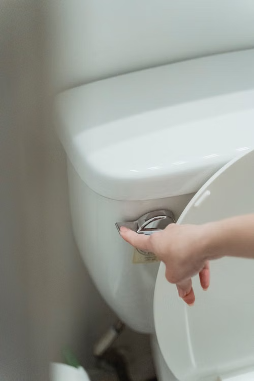a person flushing a toilet
